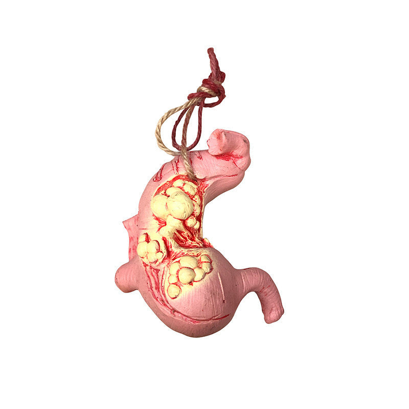 FREE GIFT | Parody Human Viscera Model – Halloween Horror Decoration