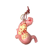 FREE GIFT | Parody Human Viscera Model – Halloween Horror Decoration