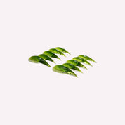 Cat Claw #7 handmade press-on nails — sculptural curved cat claw shape nail art set by Poorguyshop