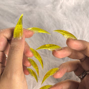 Cat Claws #37