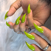 Cat Claws #46