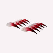 Cat Claw#14